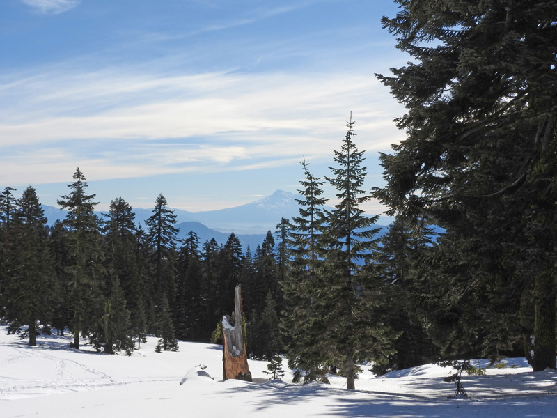 n_X2019-01-14 1101 Mt. Shasta in the distance.jpg